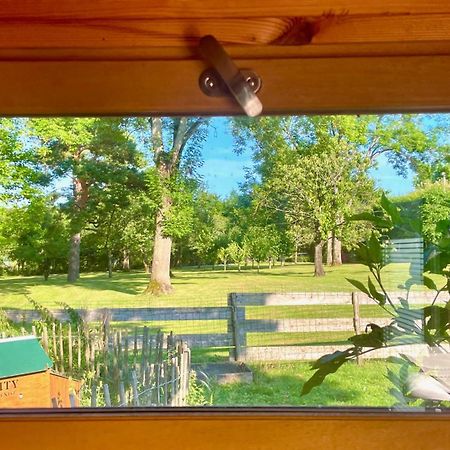 O Et Terre, Gite Ressourcement Bains Spa Cryo Sauna Et Foret Dormelles المظهر الخارجي الصورة